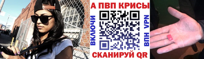 MEGA как зайти  закладки  Кадников  Alfa_PVP Соль 