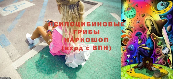 прущие крисы Зеленодольск