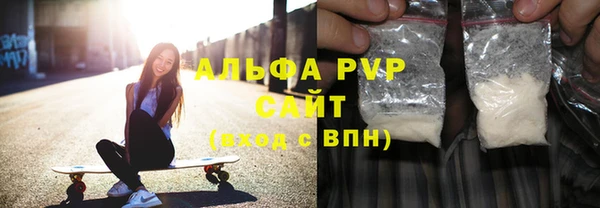 сатива Зеленокумск