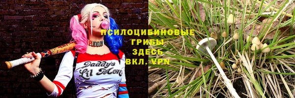 прущие крисы Зеленодольск