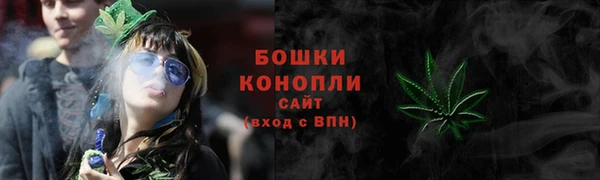 сатива Зеленокумск