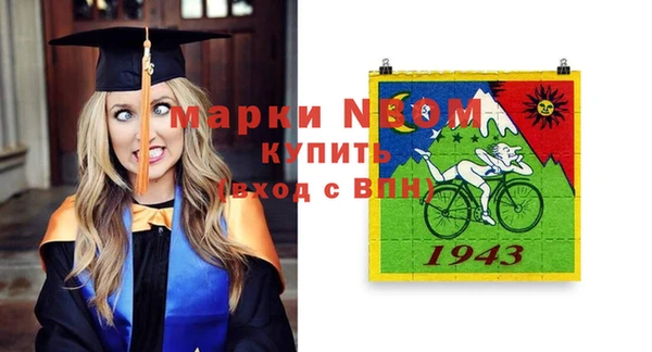 сатива Зеленокумск