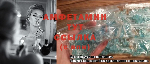 стаф Дедовск