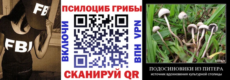 Псилоцибиновые грибы мицелий  Кадников 