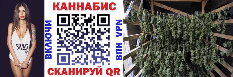 Марихуана Bruce Banner  площадка клад  ОМГ ОМГ   Кадников  что такое наркотик 
